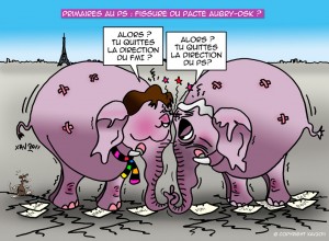 xav-dessins-de-presse-dsk-aubry